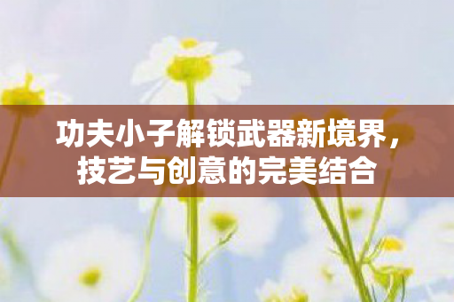 功夫小子解锁武器新境界图片