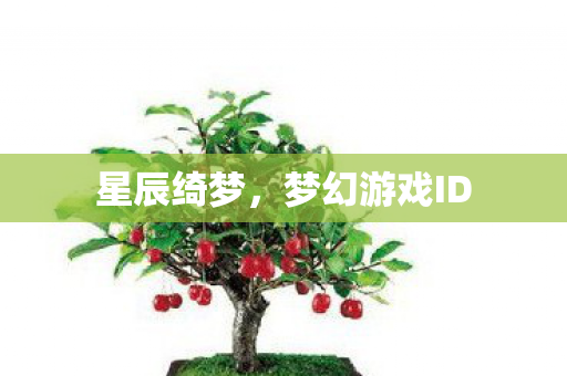 梦幻游戏ID图片