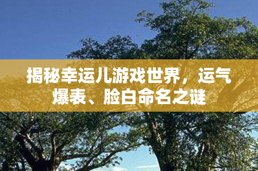 揭秘幸运儿游戏世界图片