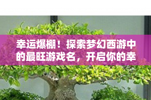 探索梦幻西游中的最旺游戏名图片
