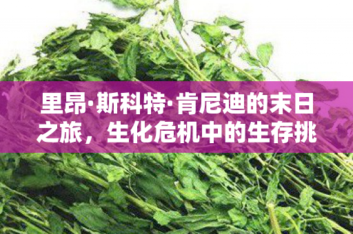 生化危机中的生存挑战图片
