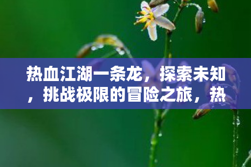 挑战极限的冒险之旅图片