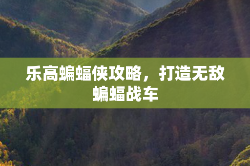 打造无敌蝙蝠战车图片