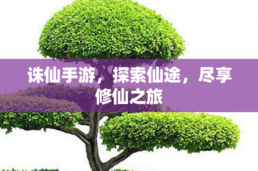 尽享修仙之旅图片