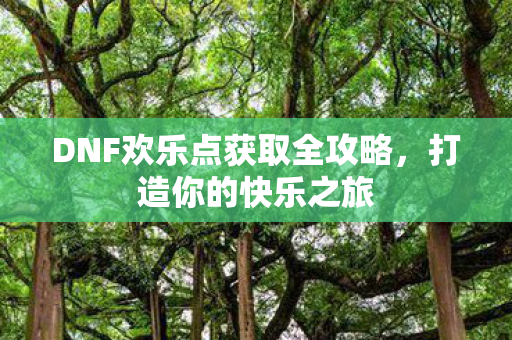 DNF欢乐点获取全攻略图片