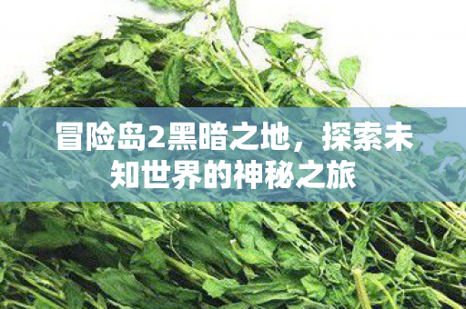 探索未知世界的神秘之旅图片