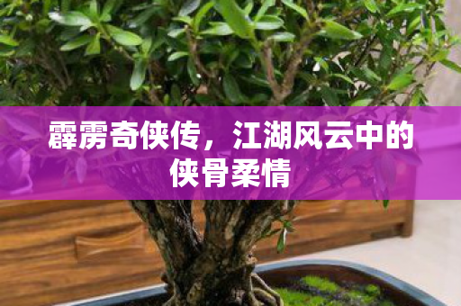 江湖风云中的侠骨柔情图片