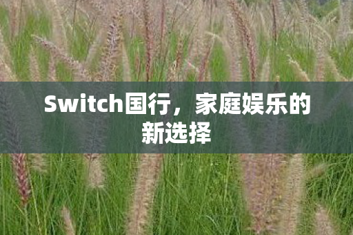 Switch国行图片