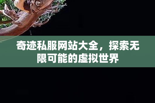 探索无限可能的虚拟世界图片