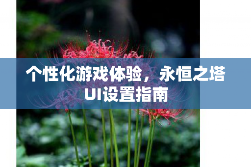 永恒之塔UI设置指南图片