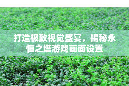 揭秘永恒之塔游戏画面设置图片