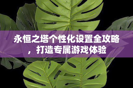 永恒之塔个性化设置全攻略图片