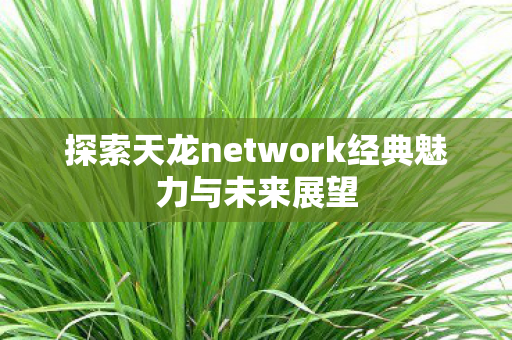 探索天龙network经典魅力与未来展望图片