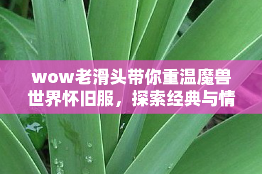wow老滑头带你重温魔兽世界怀旧服图片