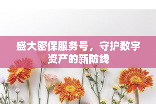 守护数字资产的新防线图片