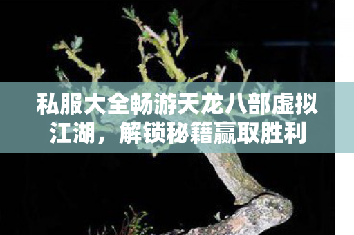 私服大全畅游天龙八部虚拟江湖图片