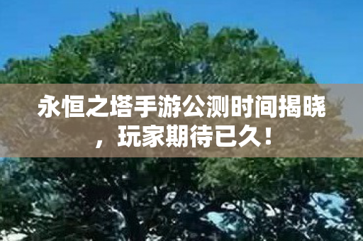 永恒之塔手游公测时间揭晓图片