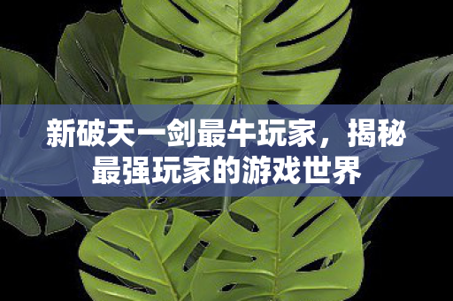 揭秘最强玩家的游戏世界图片