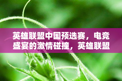 英雄联盟中国预选赛图片