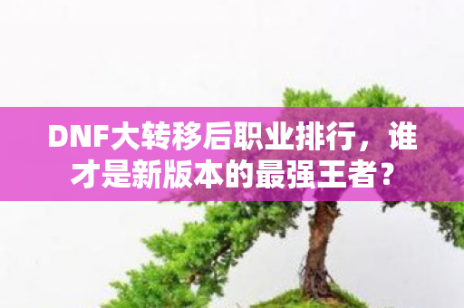 DNF大转移后职业排行图片