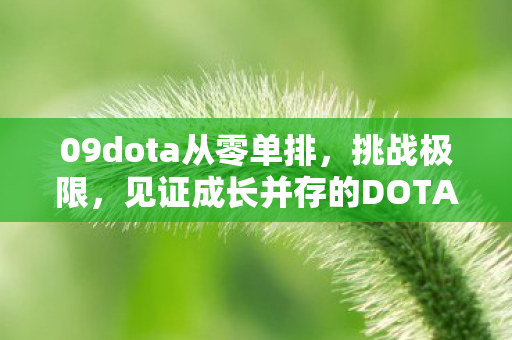 见证成长并存的DOTA之旅图片