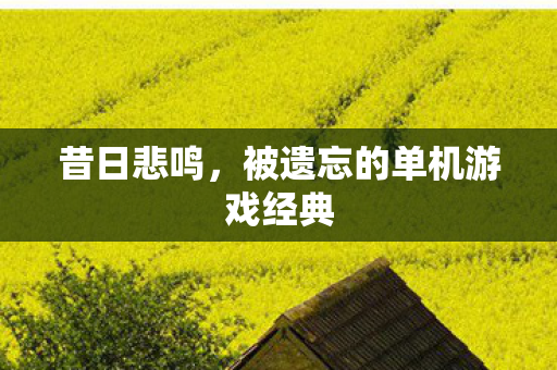 被遗忘的单机游戏经典图片