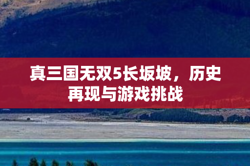 真三国无双5长坂坡图片