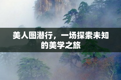 一场探索未知的美学之旅图片