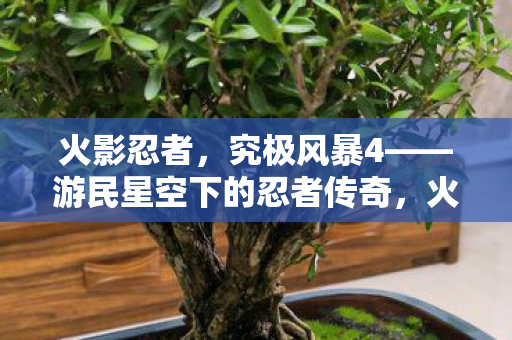 究极风暴4游民星空下的忍者传奇图片