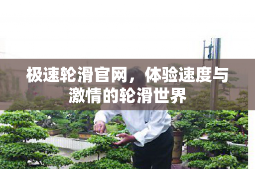 体验速度与激情的轮滑世界图片