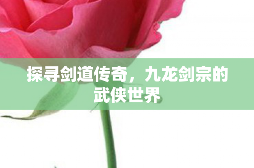 九龙剑宗的武侠世界图片
