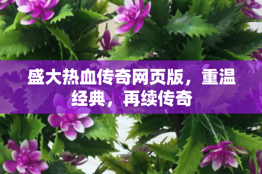 盛大热血传奇网页版图片