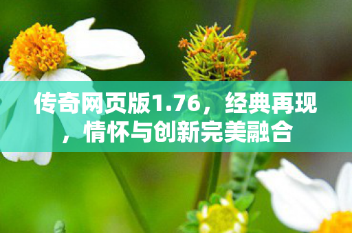 情怀与创新完美融合图片