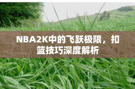 NBA2K中的飞跃极限图片