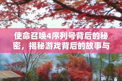 使命召唤4序列号背后的秘密,揭秘游戏背后的故事与意义 使命召唤4序列号背后的秘密,揭秘游戏背后的故事与意义