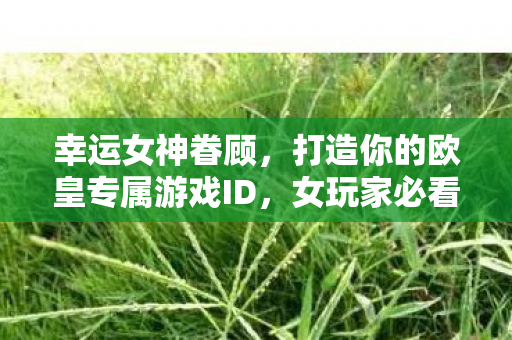 打造你的欧皇专属游戏ID图片