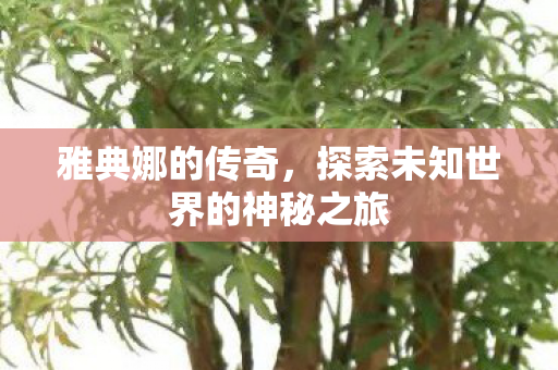 雅典娜的传奇,探索未知世界的神秘之旅 雅典娜的传奇,探索未知世界的神秘之旅