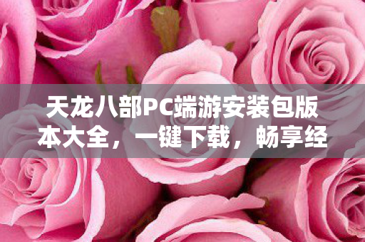 天龙八部PC端游安装包版本大全图片