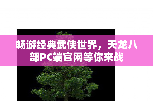 天龙八部PC端官网等你来战图片