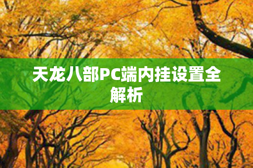 天龙八部PC端内挂设置全解析图片