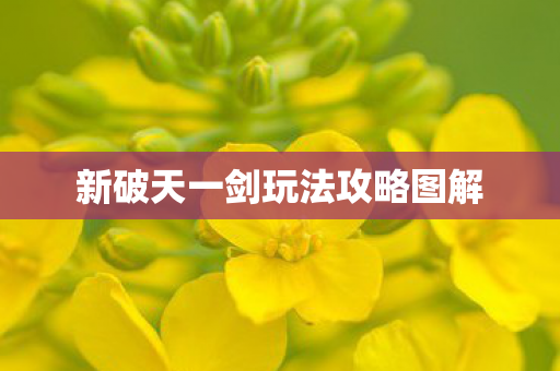 新破天一剑玩法攻略图解图片