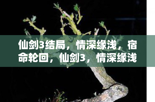 结局令人唏嘘图片