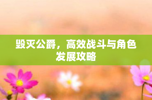 高效战斗与角色发展攻略图片