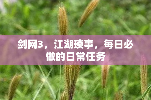 每日必做的日常任务图片