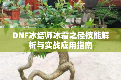 DNF冰结师冰霜之径技能解析与实战应用指南图片