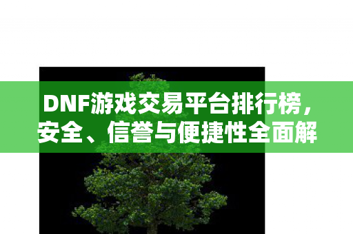 DNF游戏交易平台排行榜图片