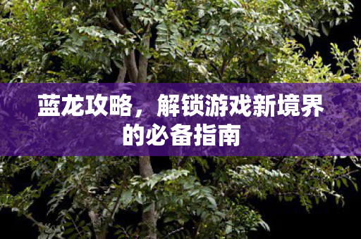 解锁游戏新境界的必备指南图片