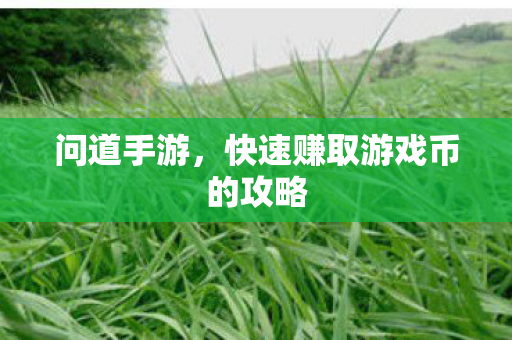 快速赚取游戏币的攻略图片