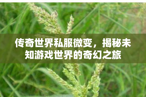 揭秘未知游戏世界的奇幻之旅图片