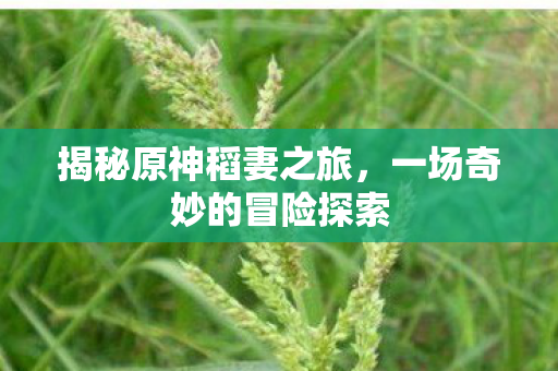 一场奇妙的冒险探索图片
